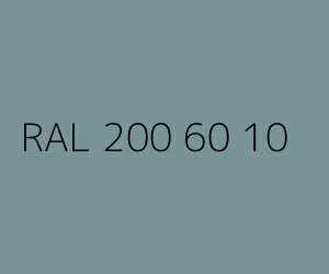 Kolor RAL 200 60 10 
