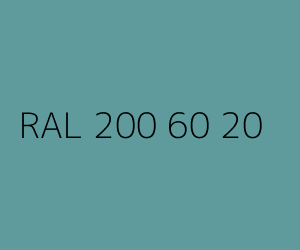 Kolor RAL 200 60 20 