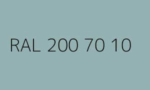 Kolor RAL 200 70 10