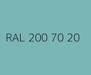 Kolor RAL 200 70 20 
