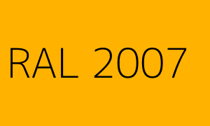 Kolor RAL 2007