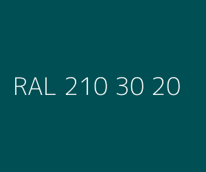 Kolor RAL 210 30 20 