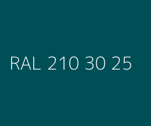 Kolor RAL 210 30 25 