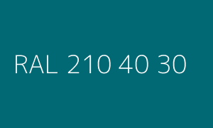 Kolor RAL 210 40 30
