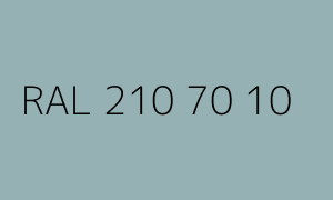 Kolor RAL 210 70 10