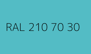 Kolor RAL 210 70 30