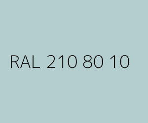 Kolor RAL 210 80 10 