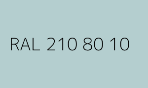 Kolor RAL 210 80 10
