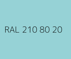 Kolor RAL 210 80 20 