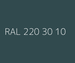 Kolor RAL 220 30 10 