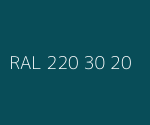 Kolor RAL 220 30 20 