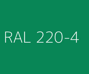 Kolor RAL 220-4 