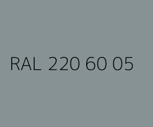 Kolor RAL 220 60 05 