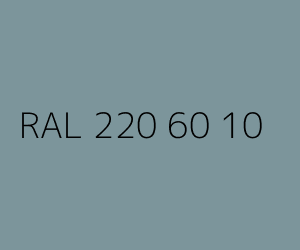 Kolor RAL 220 60 10 