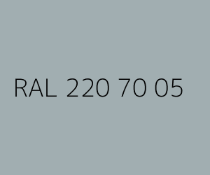 Kolor RAL 220 70 05 