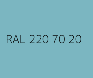 Kolor RAL 220 70 20 