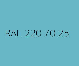Kolor RAL 220 70 25 
