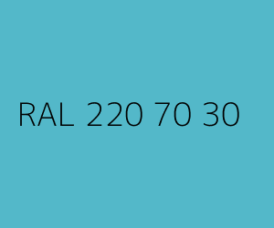 Kolor RAL 220 70 30 