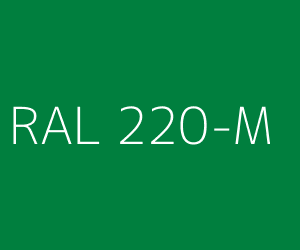 Kolor RAL 220-M 