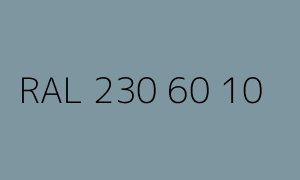 Kolor RAL 230 60 10