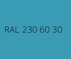 Kolor RAL 230 60 30 
