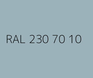 Kolor RAL 230 70 10 