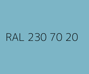 Kolor RAL 230 70 20 