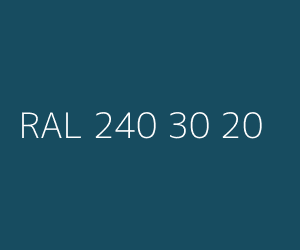 Kolor RAL 240 30 20 