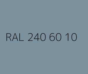 Kolor RAL 240 60 10 