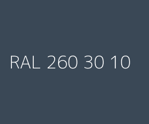 Kolor RAL 260 30 10 