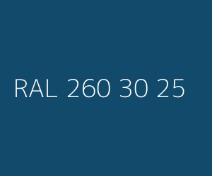 Kolor RAL 260 30 25 