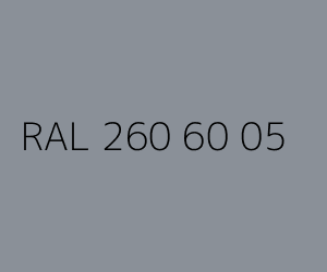 Kolor RAL 260 60 05 