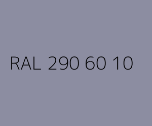 Kolor RAL 290 60 10 