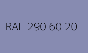 Kolor RAL 290 60 20