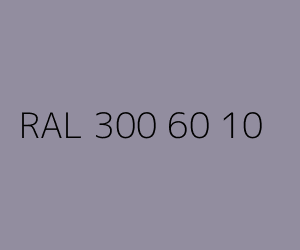 Kolor RAL 300 60 10 