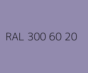 Kolor RAL 300 60 20 