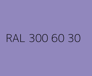 Kolor RAL 300 60 30 