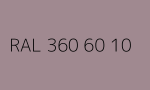 Kolor RAL 360 60 10