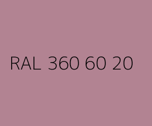 Kolor RAL 360 60 20 