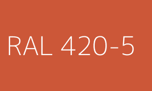 Kolor RAL 420-5