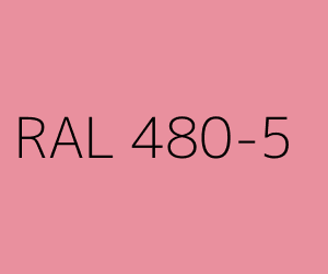 Kolor RAL 480-5 