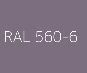 Kolor RAL 560-6 