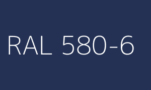 Kolor RAL 580-6