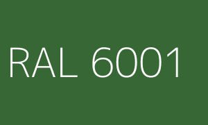 Kolor RAL 6001
