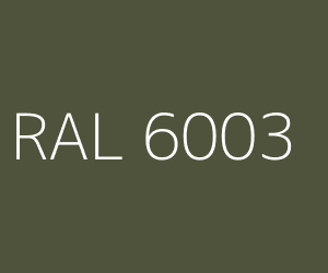 Kolor RAL 6003 OLIVE GREEN
