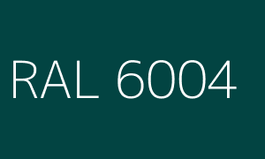 Kolor RAL 6004