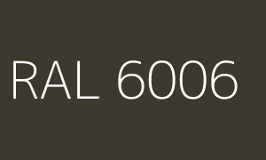 Kolor RAL 6006