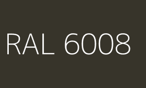 Kolor RAL 6008