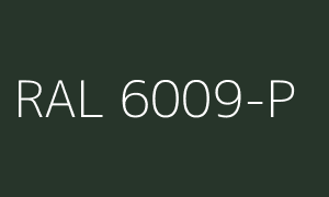 Kolor RAL 6009-P