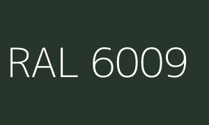 Kolor RAL 6009